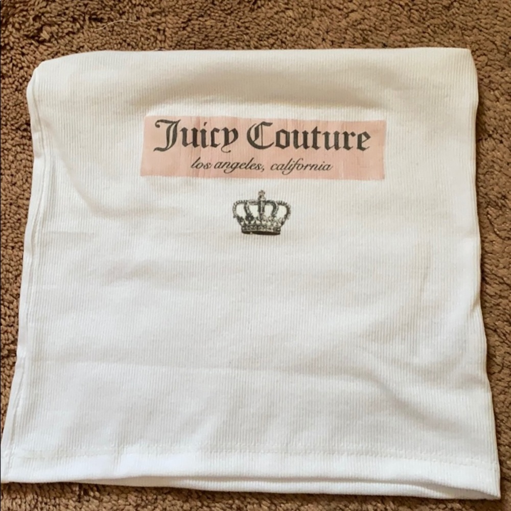 Small diy juicy couture tube top
